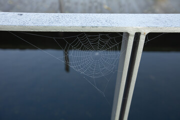 Delicate, intricate spider web glistens with dewdrops, suspended on the side of a window, waiting...
