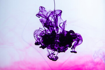 This photograph was created by dropping paint into water. before disintegrating into strange, beautiful shapes