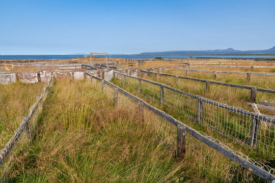 High angle view of a traditional sorting ring or rett used when in fall the sheep in Iceland are rounded up by farmer for an event called rettir