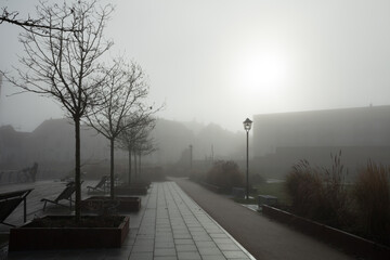 A misty street shrouded in fog, illuminated by a solitary lamp post amidst the shadowy figures of trees.