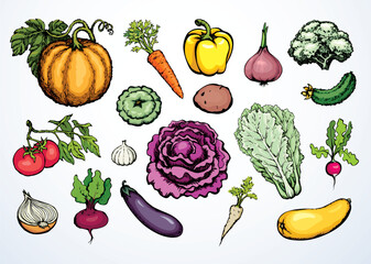 Vegetables set. Vector drawing food object