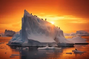 Gordijnen Iceberg with a penguin colony, backlit by a setting Arctic sun © Dan