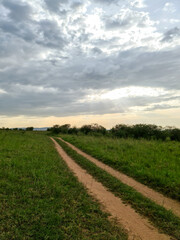 Fototapeta na wymiar Typical savannah landscape in the heart of Africa during the rainy season.