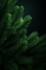 fir-tree green branches close сreated with Generative Ai