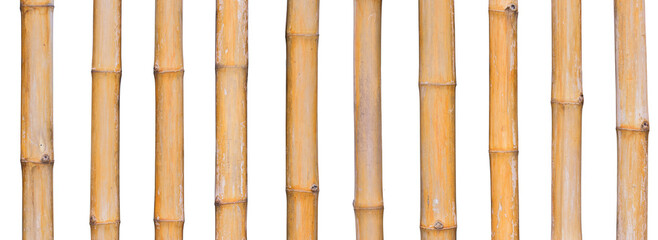 bamboo wall isolated