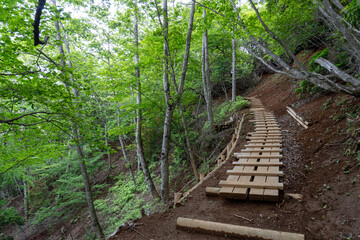 Fototapeta premium Trail between Yakeyama and Hirugatake, Tanzawa area