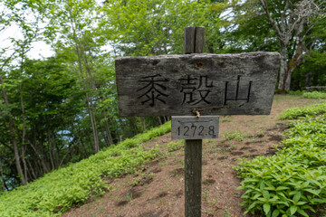 Trail between Yakeyama and Hirugatake, Tanzawa area