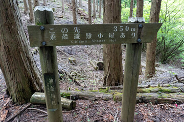Trail between Yakeyama and Hirugatake, Tanzawa area