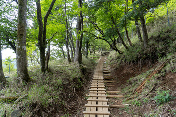 Trail between Yakeyama and Hirugatake, Tanzawa area