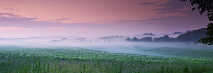 Flower, field and fog in nature environment or sunset sky in countryside or travel location,...