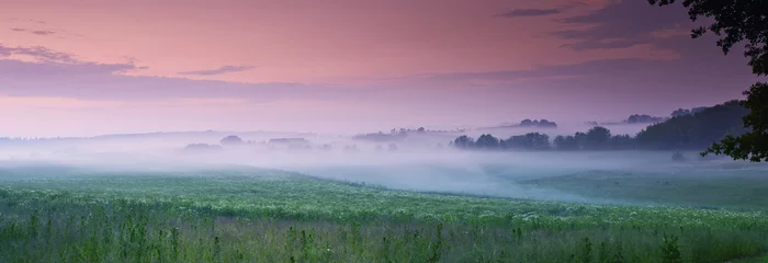 Selbstklebende Fototapete Morgen mit Nebel Flower, field and fog in nature environment or sunset sky in countryside or travel location, grassland or outdoor. Land, mist and cloud in England forest or cold weather in meadow, plants or panorama