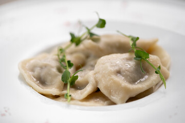 Plate of tasty cooked dumplings with meat on white plate, close-up