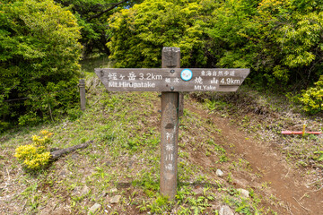 Trail between Yakeyama and Hirugatake, Tanzawa area