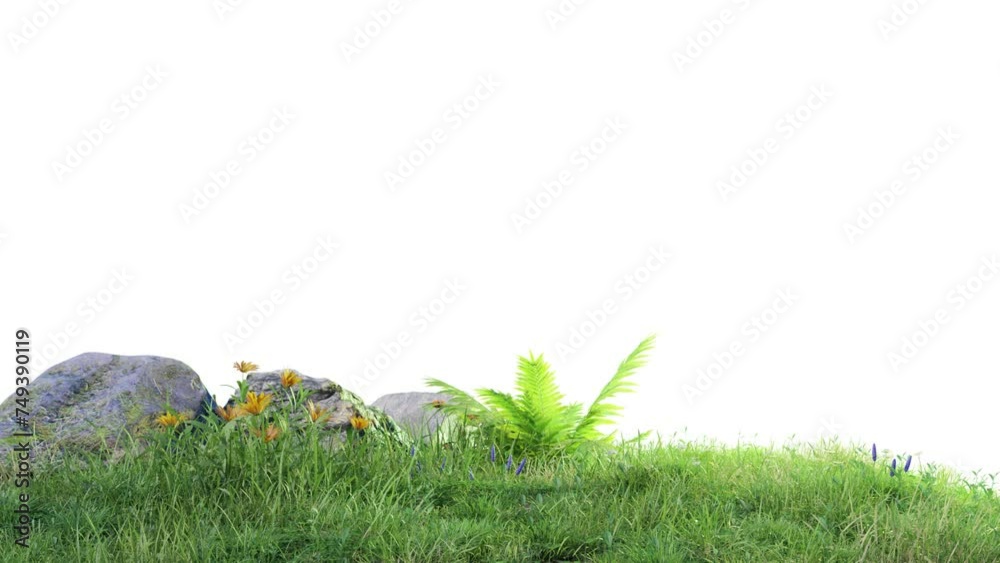Poster grass field with rock stone on white background, 3d illustration rendering