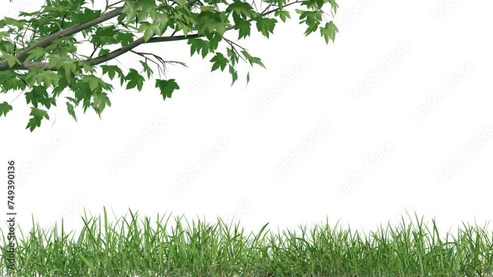 Aufkleber footage of tree branches animation with grass row, 3d illustration rendering 