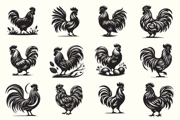 Hen or Chicken Silhouette Vector Illustration Bundle set