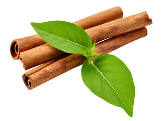 cinnamon sticks with green leave herb use in cooking