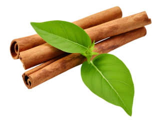cinnamon sticks with green leave herb use in cooking
