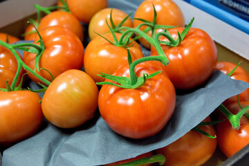 Rode trostomaten geselecteerd en verpakt in dozen, staan klaar om van de kweker naar de handel verstuurd te worden.