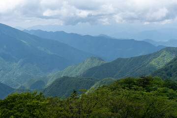 Trail between Yakeyama and Hirugatake, Tanzawa area