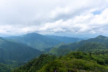 Trail between Yakeyama and Hirugatake, Tanzawa area