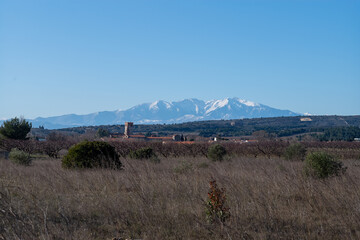landscape in the morning