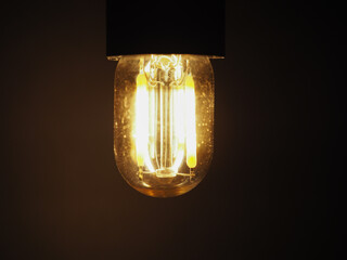 LED filament light bulb - 749402904