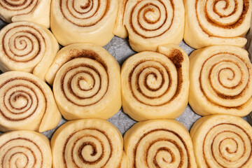 Obraz na płótnie Canvas Homemade cinnamon buns in the shape of a snail in the process of preparation before baking