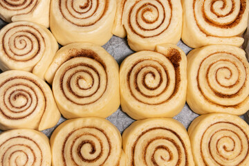 Homemade cinnamon buns in the shape of a snail in the process of preparation before baking