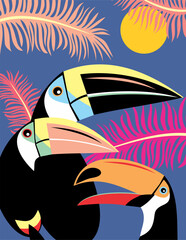 Three toucan birds