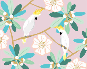 Two cockatoo birds  © Ana Domenika