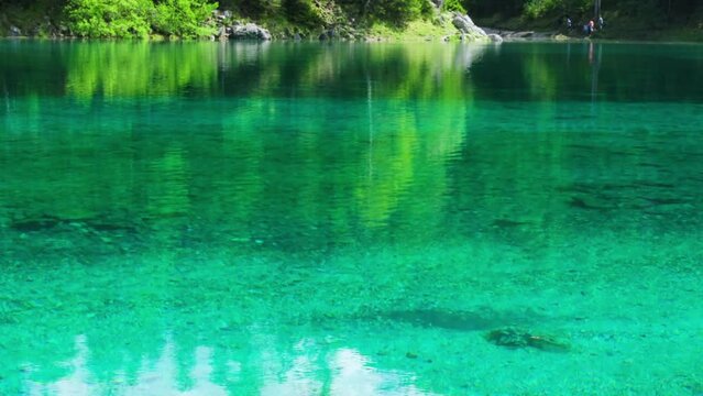 Gruner See, beautiful green alpine lake with crystal clear water in spring, Gruner See, Styria, Austria, Europe