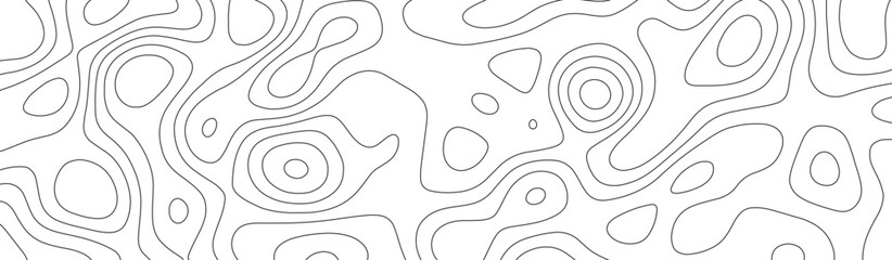 Abstract geographic curved, vector illustration. seamless textrue, vintage waves. Panorama view multicolor wave curve line. Topography map pattern, swirl line. white paper curved reliefs background.