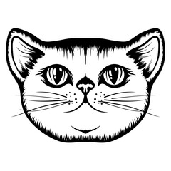 Hand draw cute cat coloring book or active page