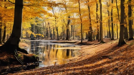 Fototapeten A picturesque autumn forest with colorful foliage of trees and a lake on a sunny day. Seasons, Nature, Park, Landscape concepts. © liliyabatyrova