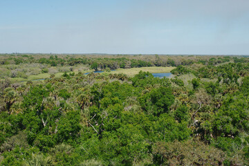 Fototapeta na wymiar High view from Observation Tower at Myakka River State Park in Sarasota, Florida. High view over green tree tops with a sunny blue sky with smoke in the sky. Shows blue water lakes.