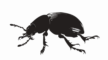 Vector image of the Colorado beetle silhouette on a white - obrazy, fototapety, plakaty