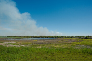 Obraz premium Wide view across Myakka Lake at Myakka River State Park in Sarasota Florida, Green grass, blue water with a blue and white sky with room for copy. Layed front to back no people.