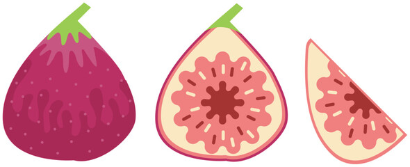 イチジクのイラスト