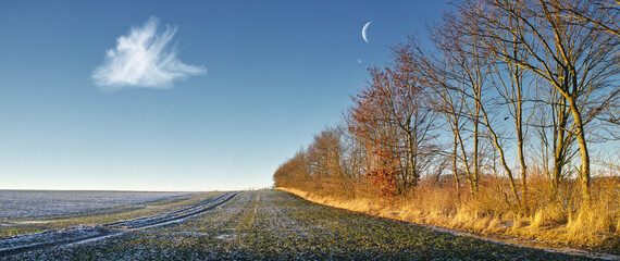 Farm, field and frost on grass in landscape with trees, blue sky with moon and countryside in...