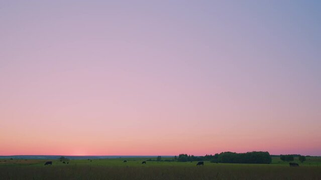 Beautiful Grass Field In Countryside. Field Of Grass During Sunset. Colorful Cloudy Sunset On Background Of Landscape.