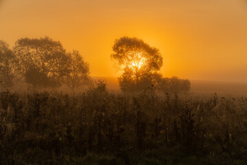Obraz premium sunrise in the morning