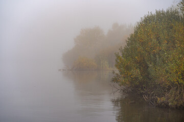 morning mist on the lake