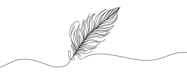 Continuous drawing of a bird feather on a white background. vector illustration of a feather in one line.