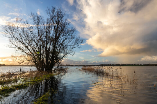 Les marais du Cotentin