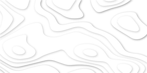 Abstract paper carve template. abstract white and gray 3d papercut topography relief vector background illustration. topographic canyon geometric map relief texture with curved layers and shadow.