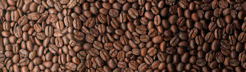 Coffee beans of three degrees roasting detailed texture