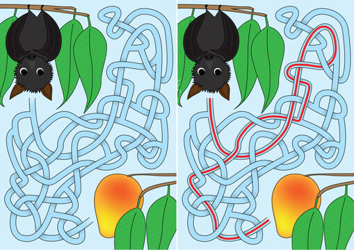 Fruit bat maze for kids with a solution