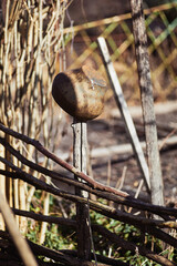 Old abandoned clay pot on an old fence braided, photo in spring