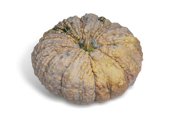 Thai pumpkin isolated on white background. This has clipping path.